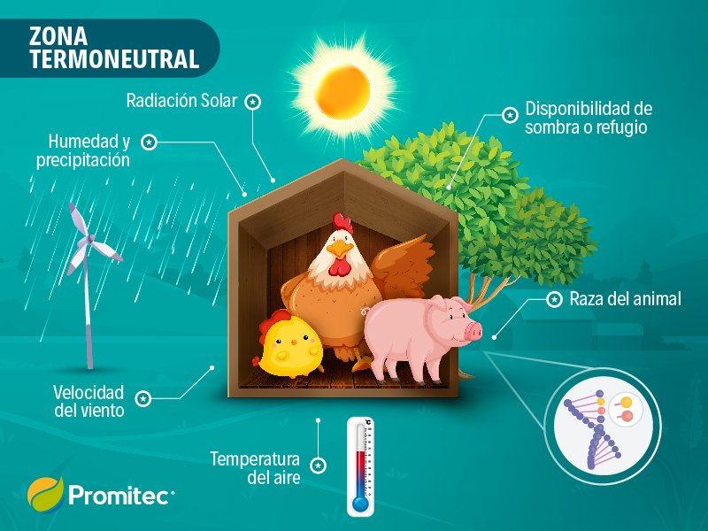 Estrés calórico en aumento para animales